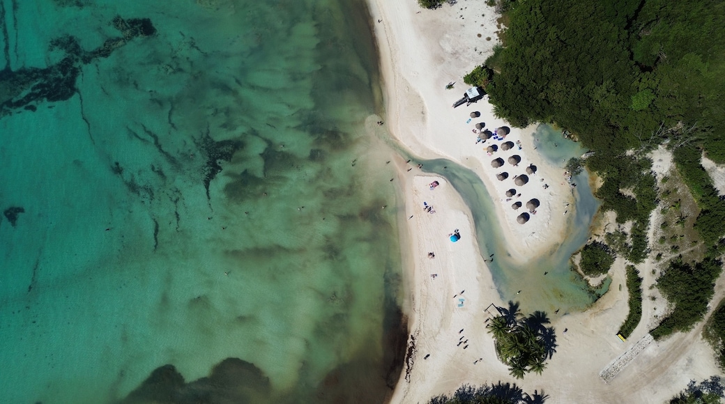 Vista aérea de playa tropical y costa caribeña en la Riviera Maya México drone de Playa del Carmen y el mar Caribe mar turquesa