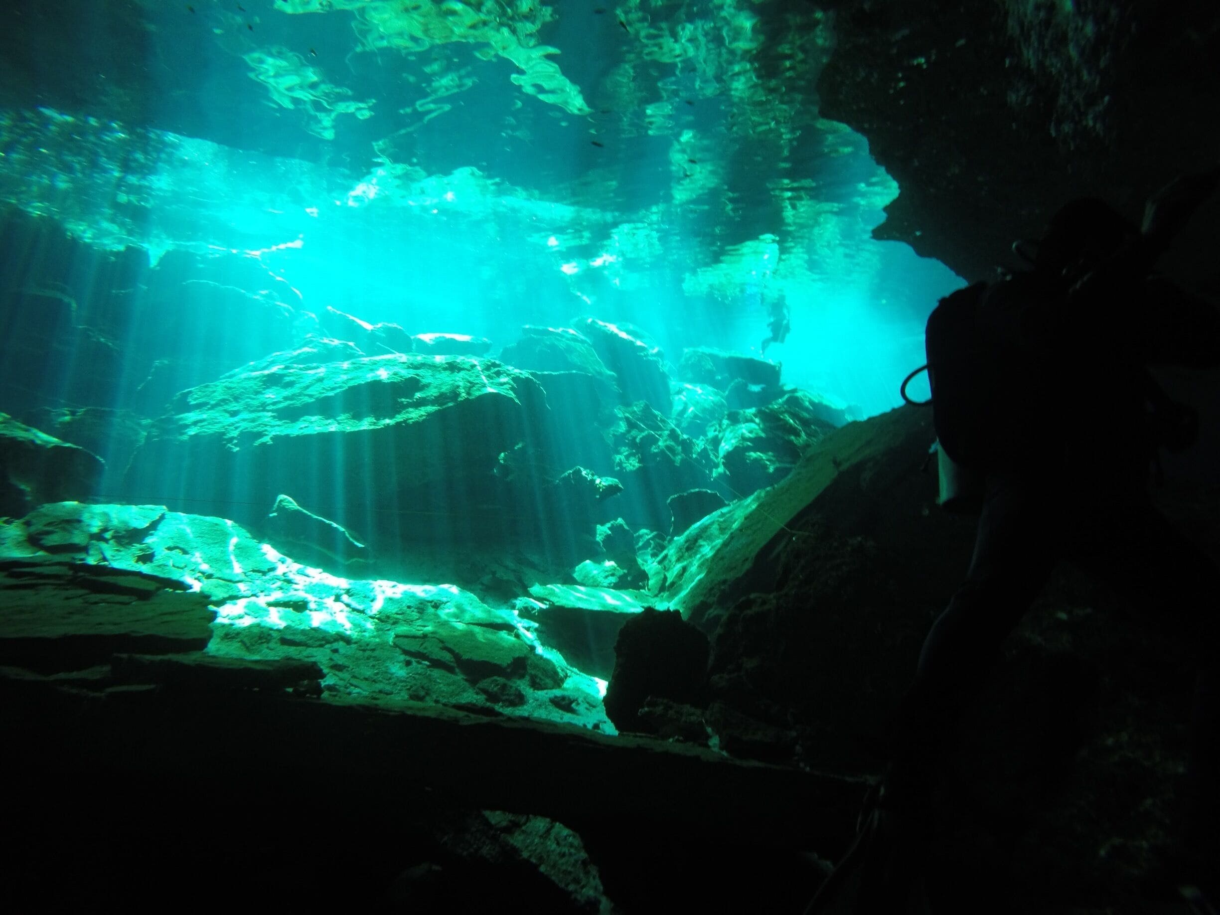 This was my first cenote diving experience. As you swim through the dark caves you suddenly round a corner to have the most brilliant green light shining through a small opening and reflecting on the rocks. An experience no diver should miss! #lifeatexpedia