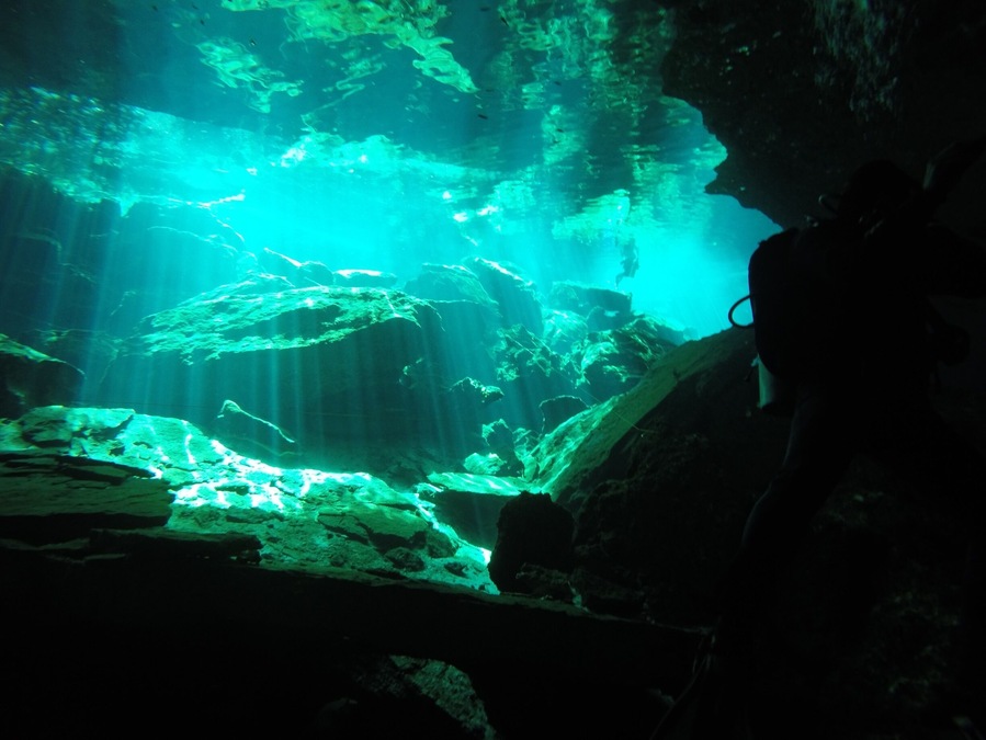 This was my first cenote diving experience. As you swim through the dark caves you suddenly round a corner to have the most brilliant green light shining through a small opening and reflecting on the rocks. An experience no diver should miss! #lifeatexpedia
