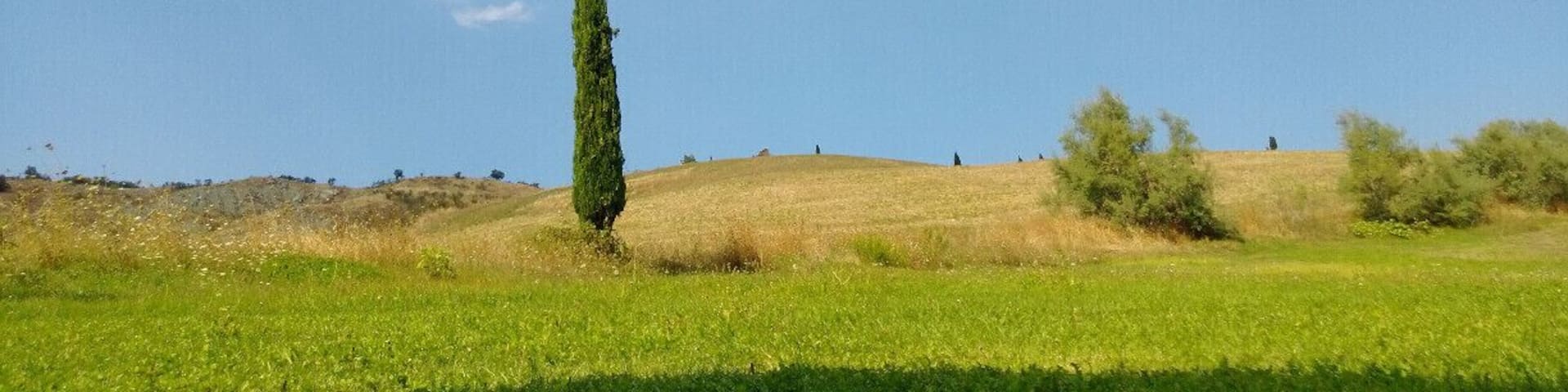 Nothing special, but it felt awkward because it looked like a drawing every child does at school and teachers say "very nice but places like this are impossible to find".