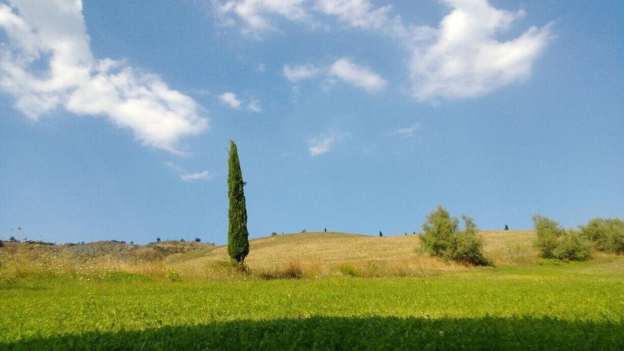 Nothing special, but it felt awkward because it looked like a drawing every child does at school and teachers say "very nice but places like this are impossible to find".
