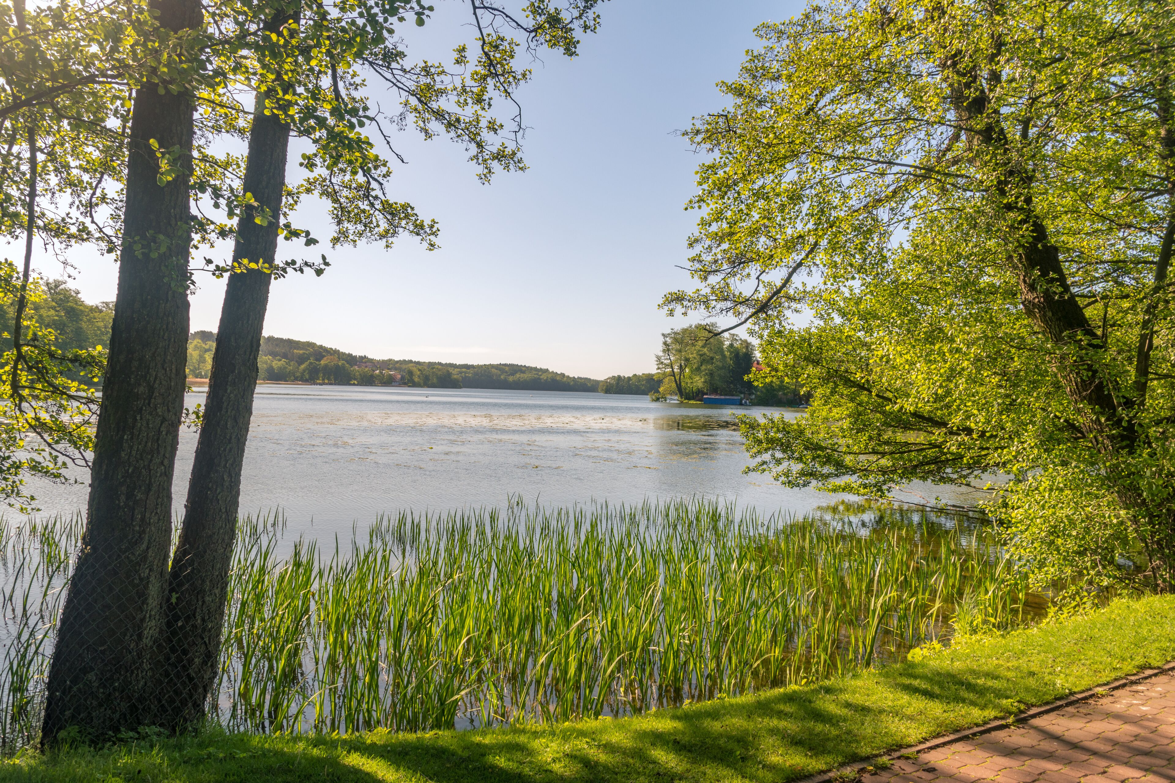 Czos lake on sanny day in Mragowo.