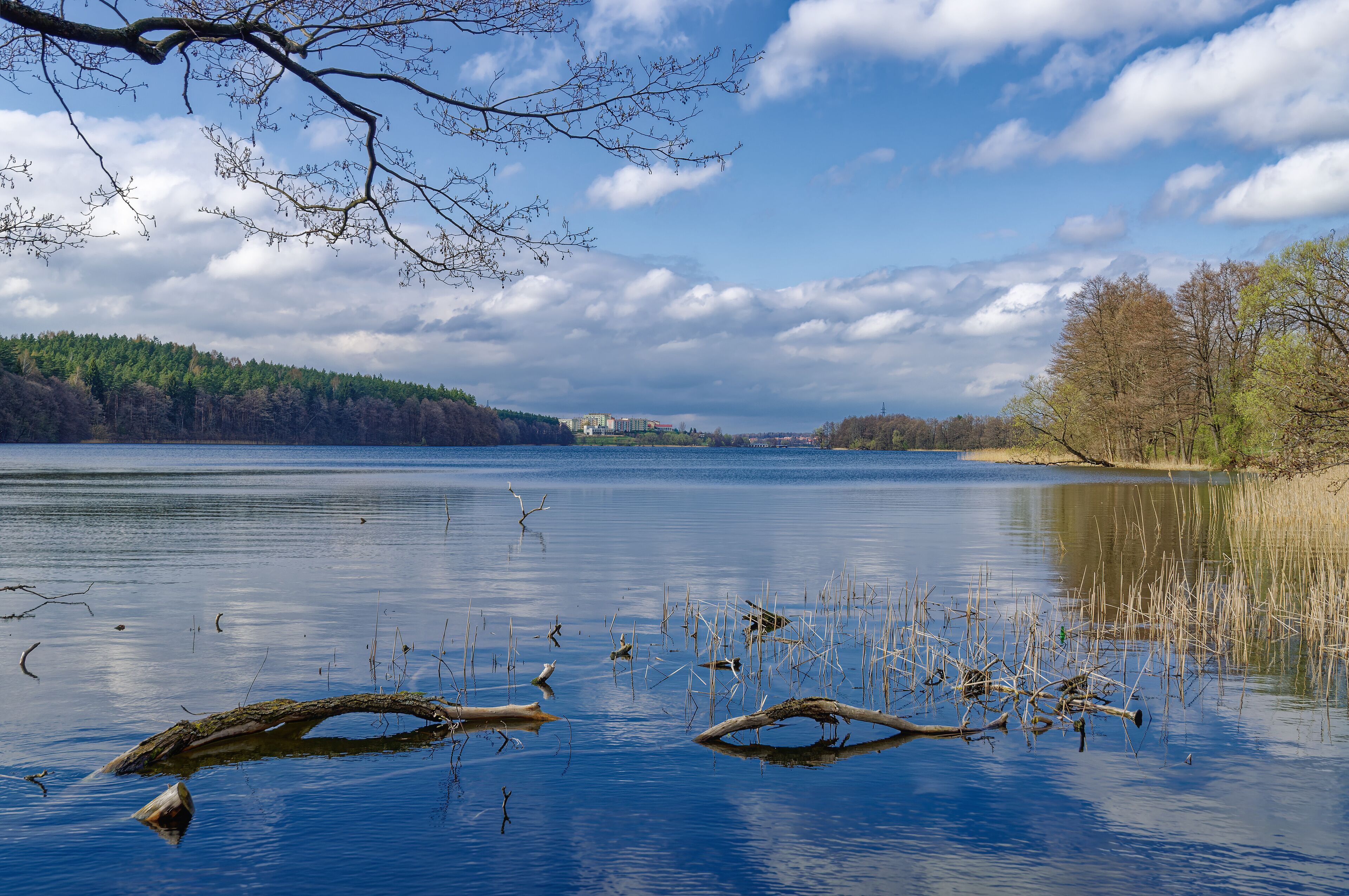 A calm lake with reflections of trees and a clear sky.