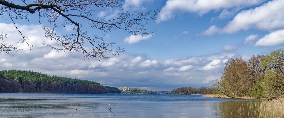 A calm lake with reflections of trees and a clear sky.