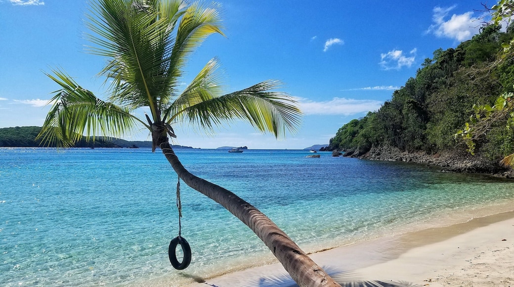 Maybe the most photogenic beach on St John. We parked at Hawksnest Beach, then swam past the rocks to this secluded beach.