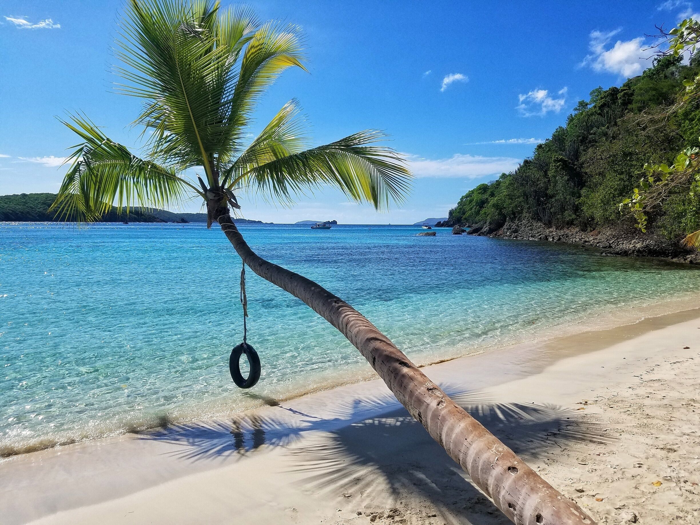 A beach with clear turquoise water, a palm tree, and a tire hanging from it.