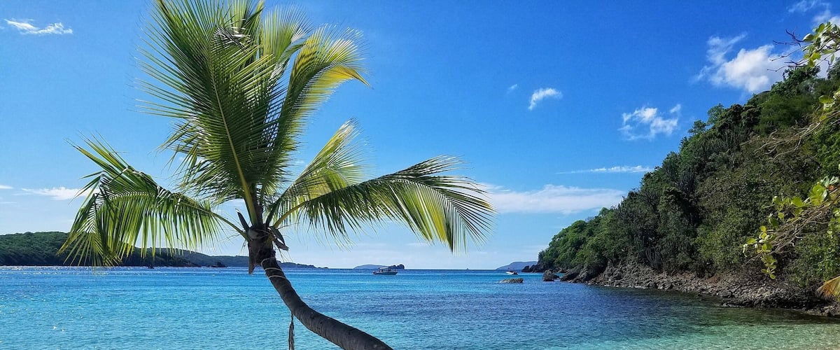 A beach with clear turquoise water, a palm tree, and a tire hanging from it.