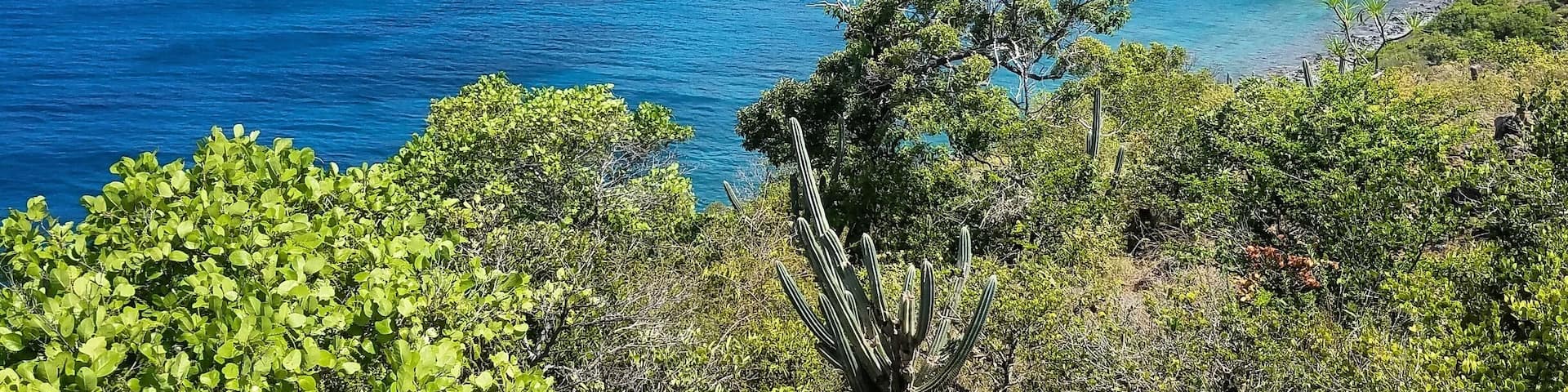 View from the trail to Rams Head Peak, in the Salt Pond Bay area.