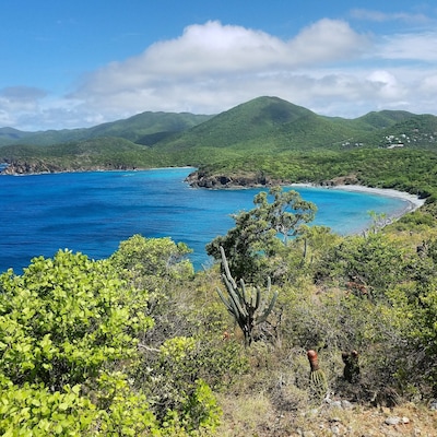 View from the trail to Rams Head Peak, in the Salt Pond Bay area.