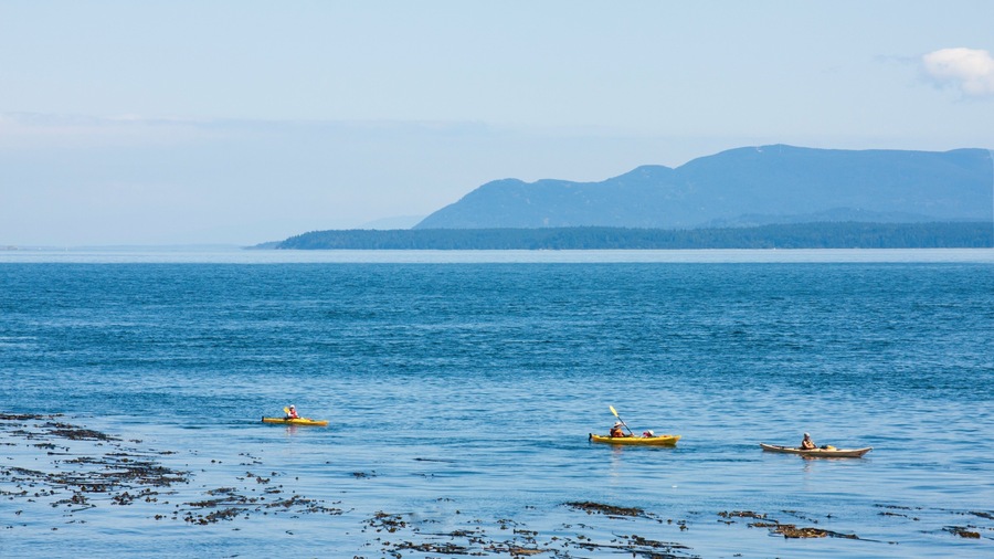 Pender Island showing general coastal views and kayaking or canoeing as well as a small group of people