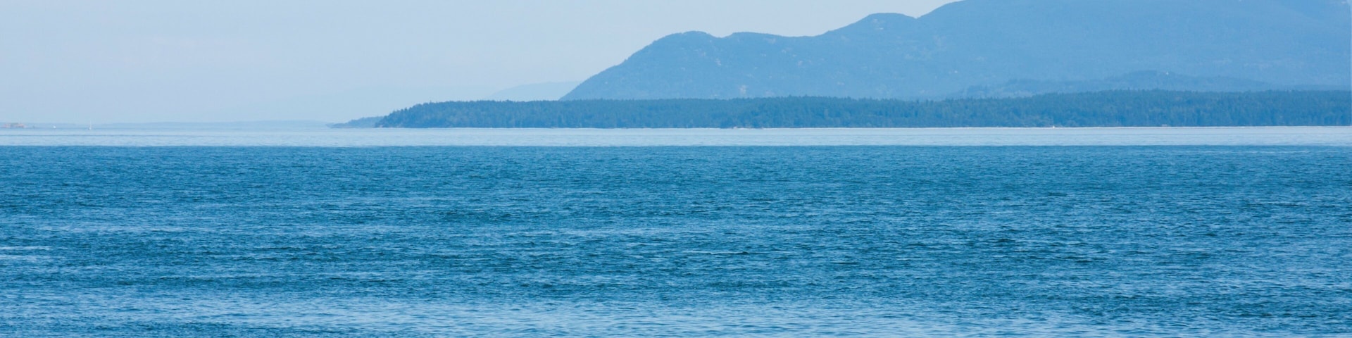 Pender Island showing general coastal views and kayaking or canoeing as well as a small group of people