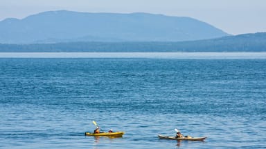 Pender Island presenterar övyer, en hamn eller havsbukt och kajak eller kanot