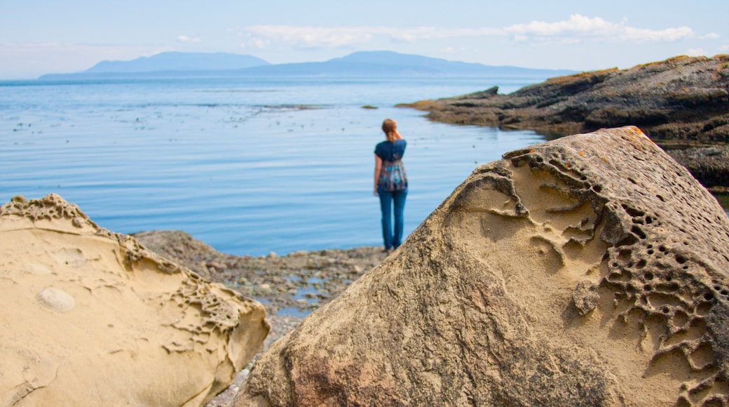 Pender Island which includes a bay or harbor and rocky coastline as well as an individual femail