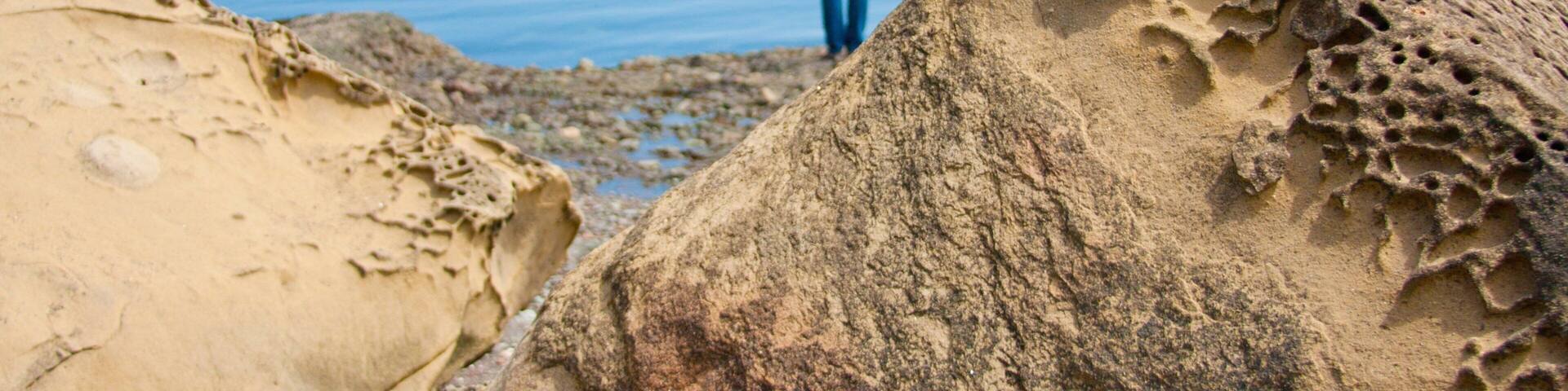 Pender Island which includes a bay or harbor and rocky coastline as well as an individual femail