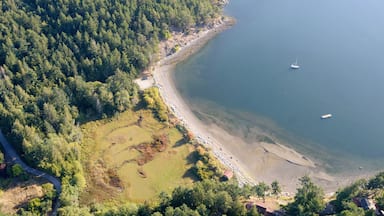 Uma área costeira arborizada com uma praia, uma pequena ilha e um barco na água.