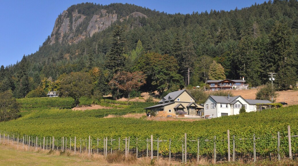 Salt Spring Island qui includes paysages en forĂȘt et montagnes