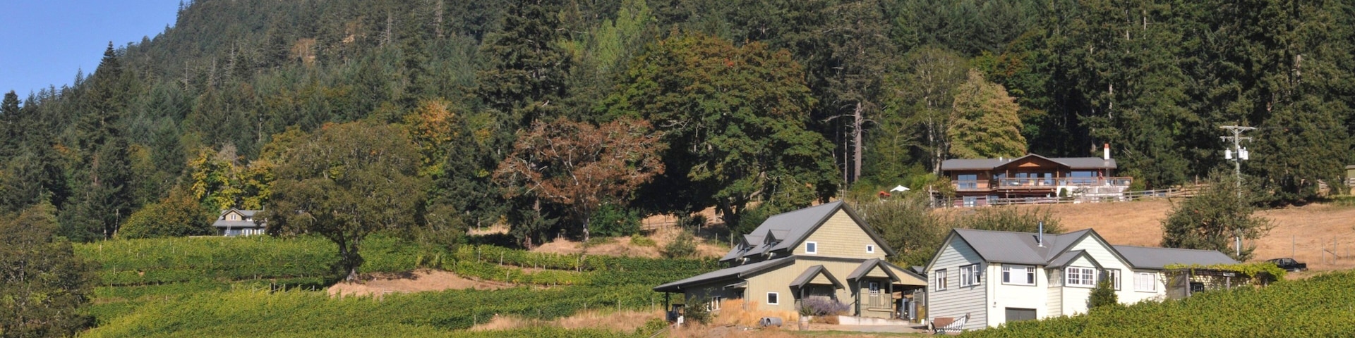 Salt Spring Island mostrando montañas y imágenes de bosques