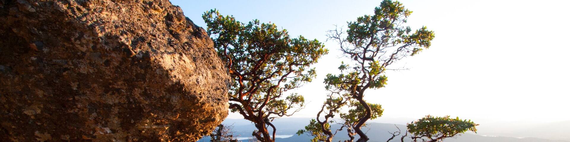 Salt Spring Island mostrando vista dell\'isola e baia e porto