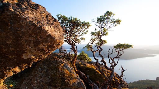 Salt Spring Island bevat eilanden en een baai of haven
