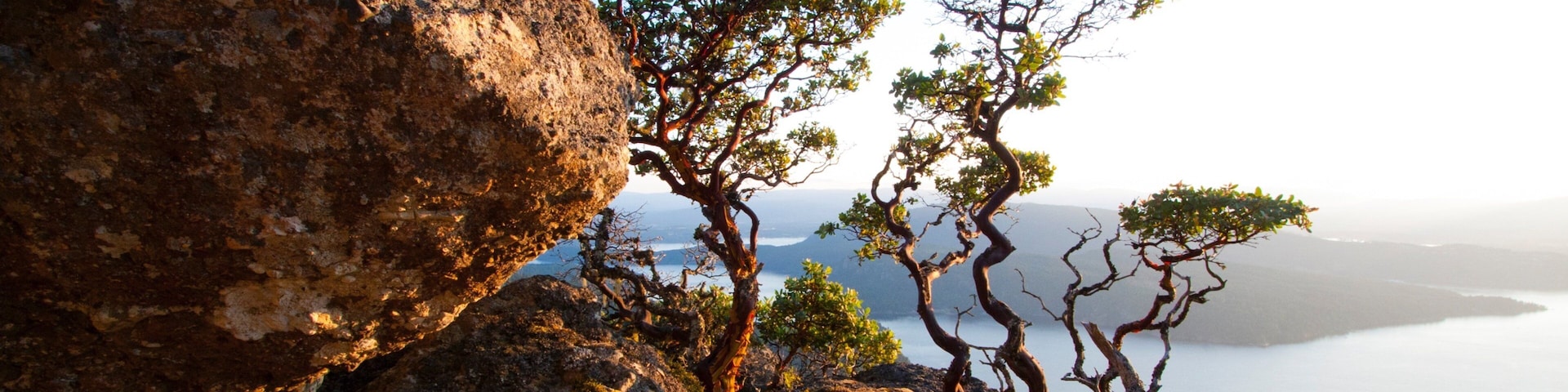 Salt Spring Island which includes a bay or harbour and island images