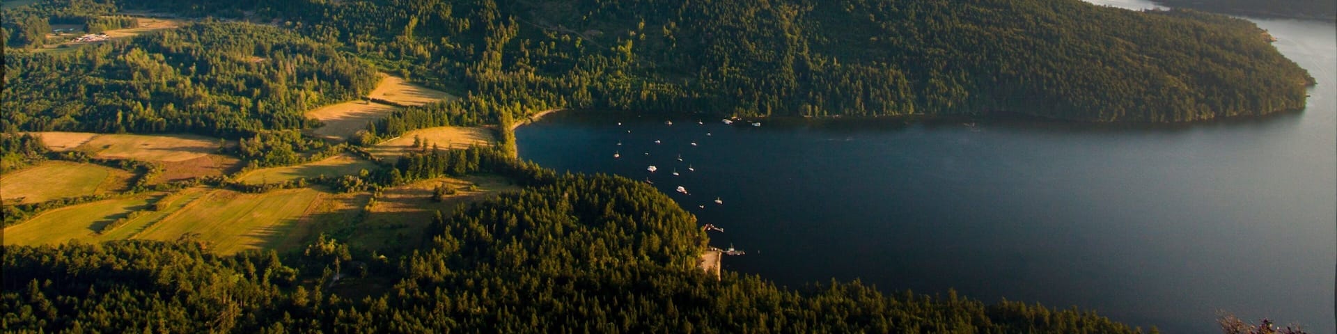 ソルト スプリング島 フィーチャー 湖あるいは泉 と 森林の風景