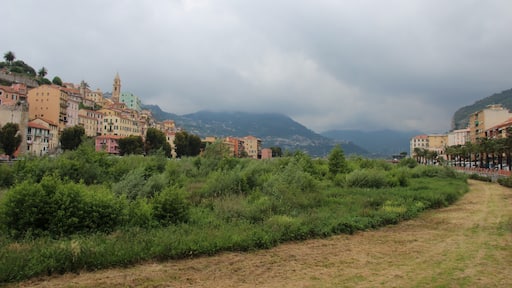 Late afternoon and the cloud was coming down fromthe mountains