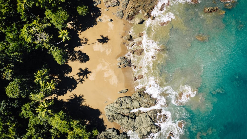 A tropical beach with clear turquoise waters, rocky shoreline, and lush green palm trees.