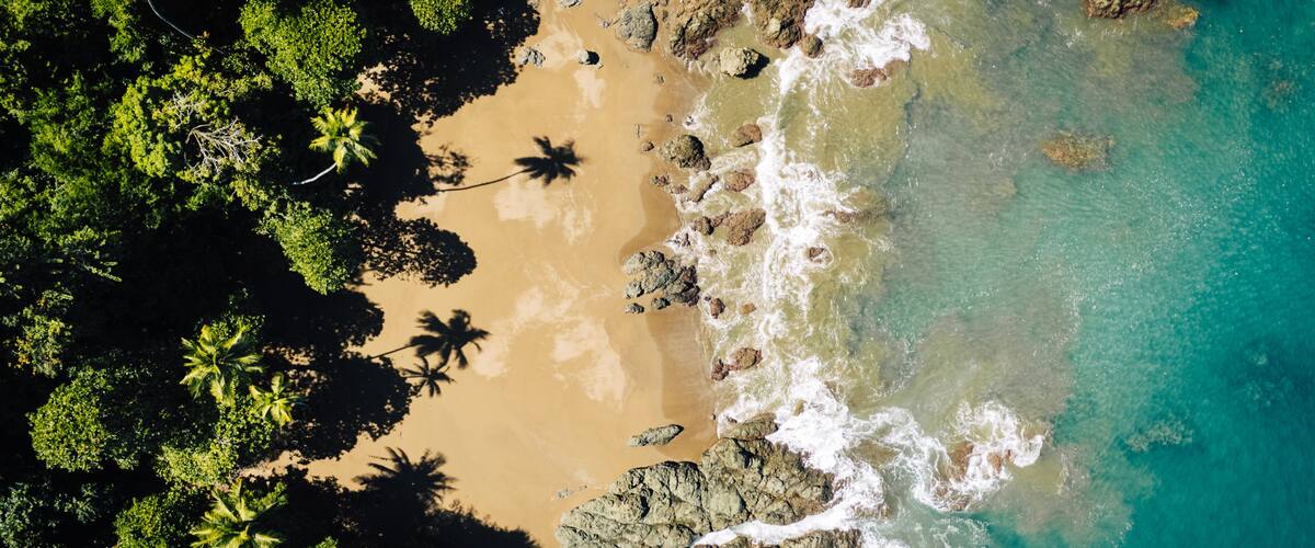 A tropical beach with clear turquoise waters, rocky shoreline, and lush green palm trees.