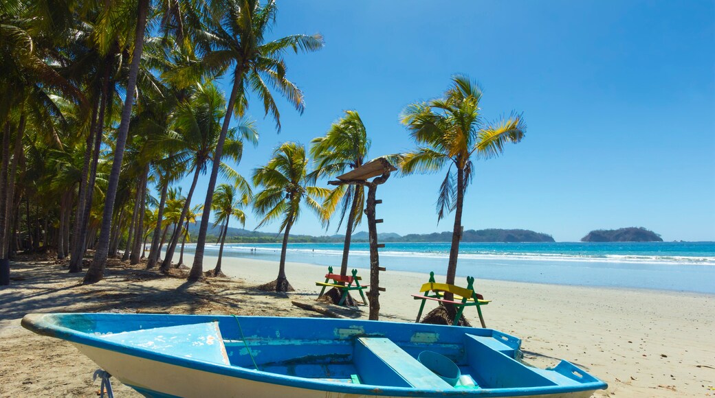 Boat on the palm-fringed beach at this laid-back village & resort, Samara, Guanacaste Province, Nicoya Peninsula