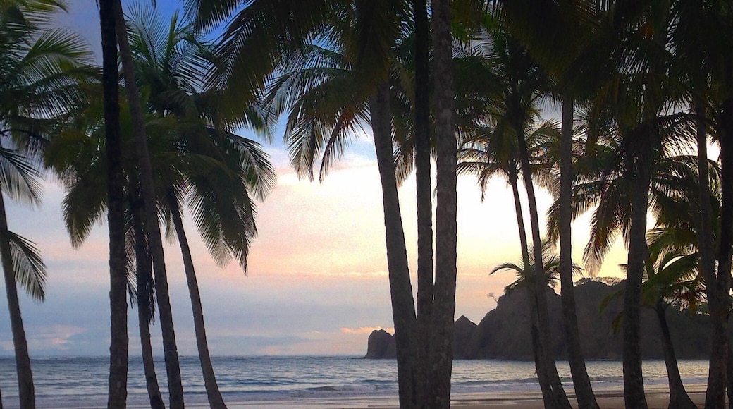 Looking for the next camp site
#adventure
#overlanding #roadtrip #panamaerican #surftowns