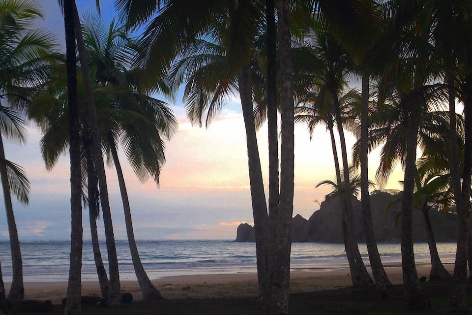 A beach with palm trees and a sunset.