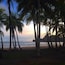 A beach with palm trees and a sunset.