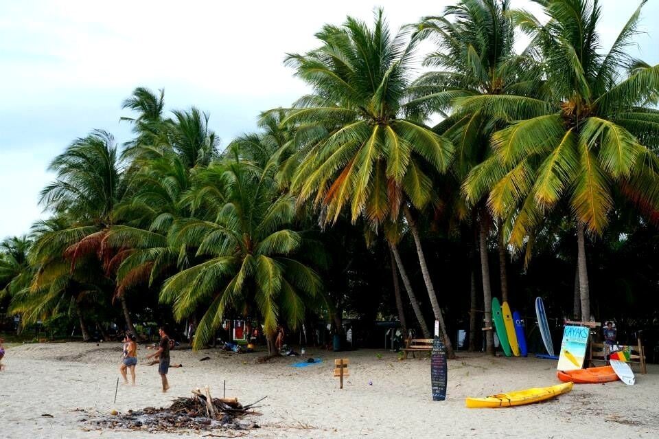 Located on the Pacific Coast, Samara beach is a bit more quiet and less developed than other well-known beaches in Costa Rica. The calm waves make it perfect for surfing and stand up paddle boarding. #beach