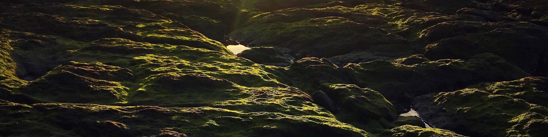 Sunset overlooking the tide pool
#waterlust