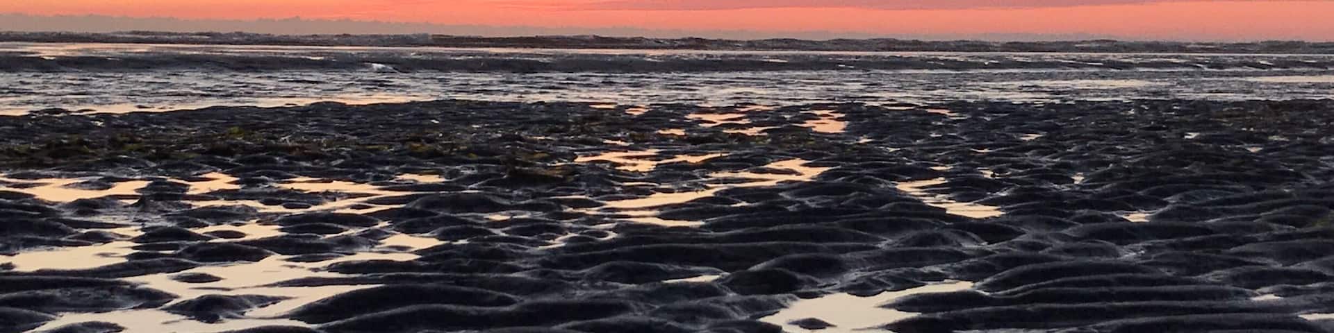 A diamond in the rough; this uncrowded gem features beautiful coastline, an expansive ocean shelf that allows for deep wading and exploration, plenty of finds (from live crabs to seashells and sand dollars), and if you are lucky to have partly clear skies the sunsets are spectacular.