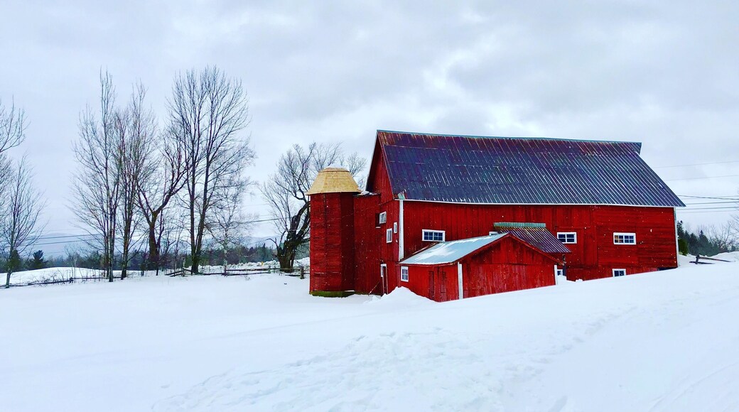 Lots of red barns in Vermont, they are beautiful