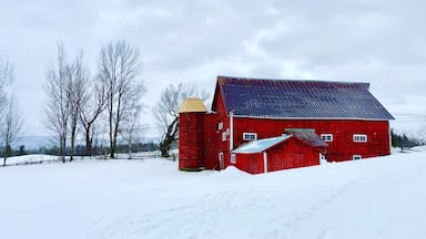 Lots of red barns in Vermont, they are beautiful
