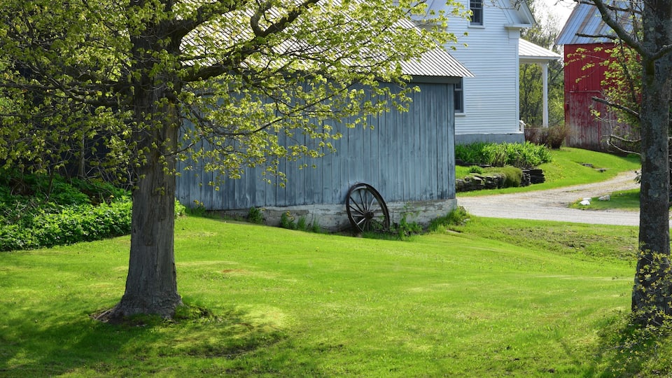 A rural landscape with a white house, a red barn, and a large tree in the foreground.