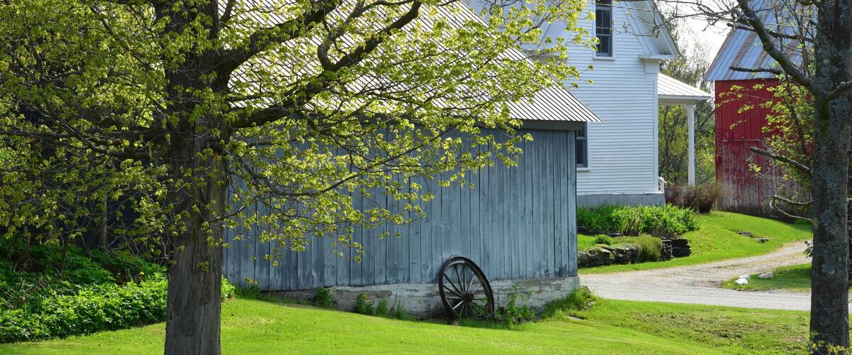 A rural landscape with a white house, a red barn, and a large tree in the foreground.