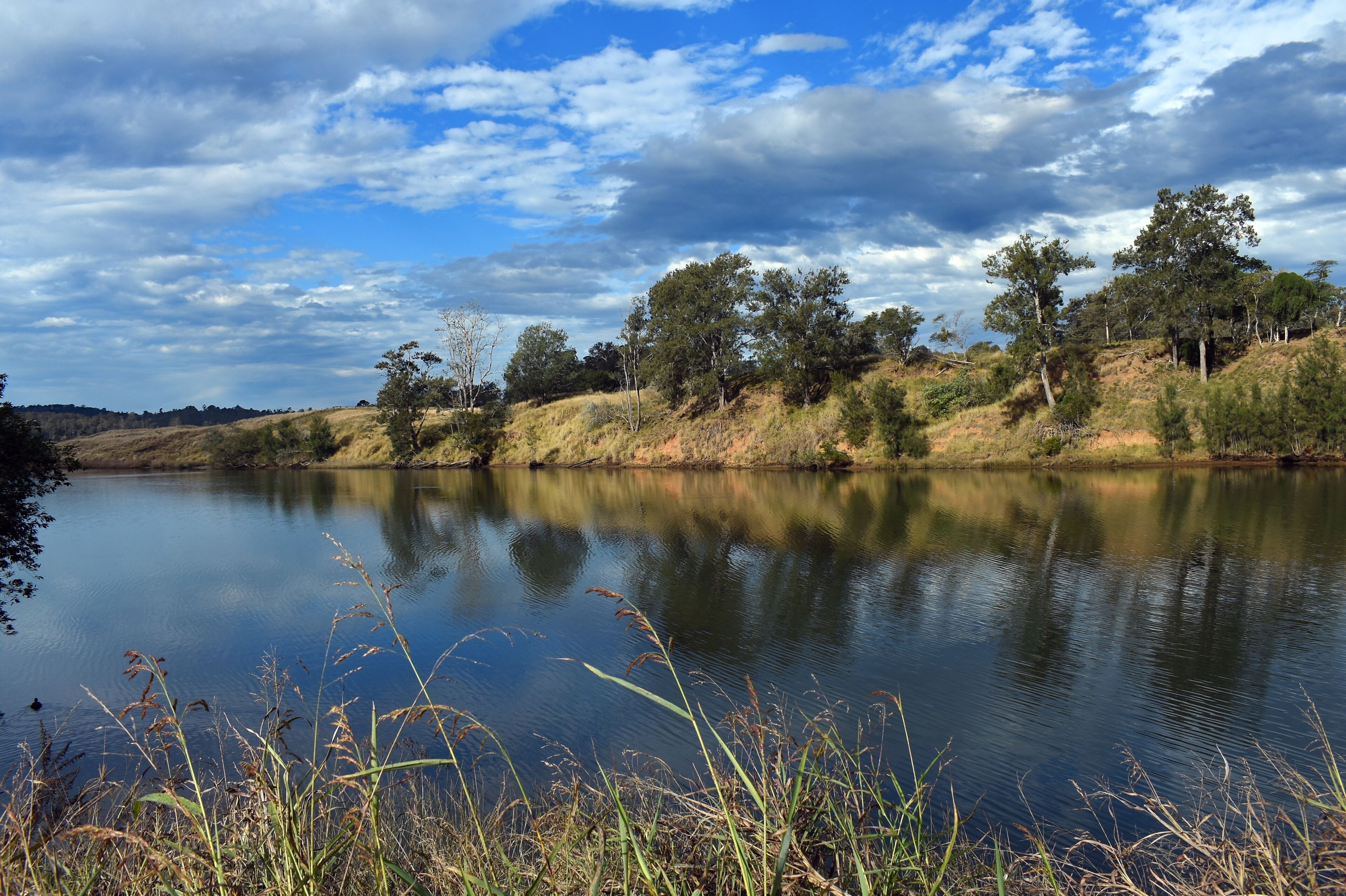 A calm lake with reflections of trees and sky, surrounded by grassy hills and sparse vegetation.