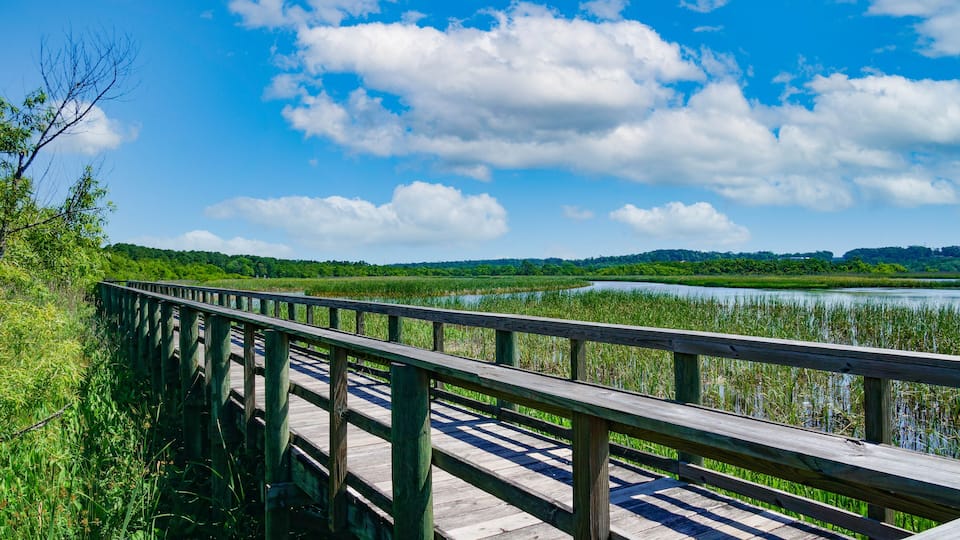 A wooden boardwalk along a river with lush greenery and a clear blue sky.