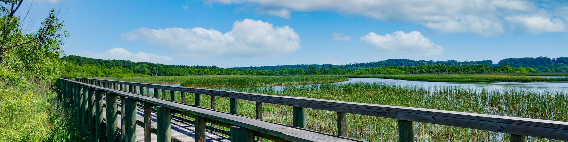 A wooden boardwalk along a river with lush greenery and a clear blue sky.