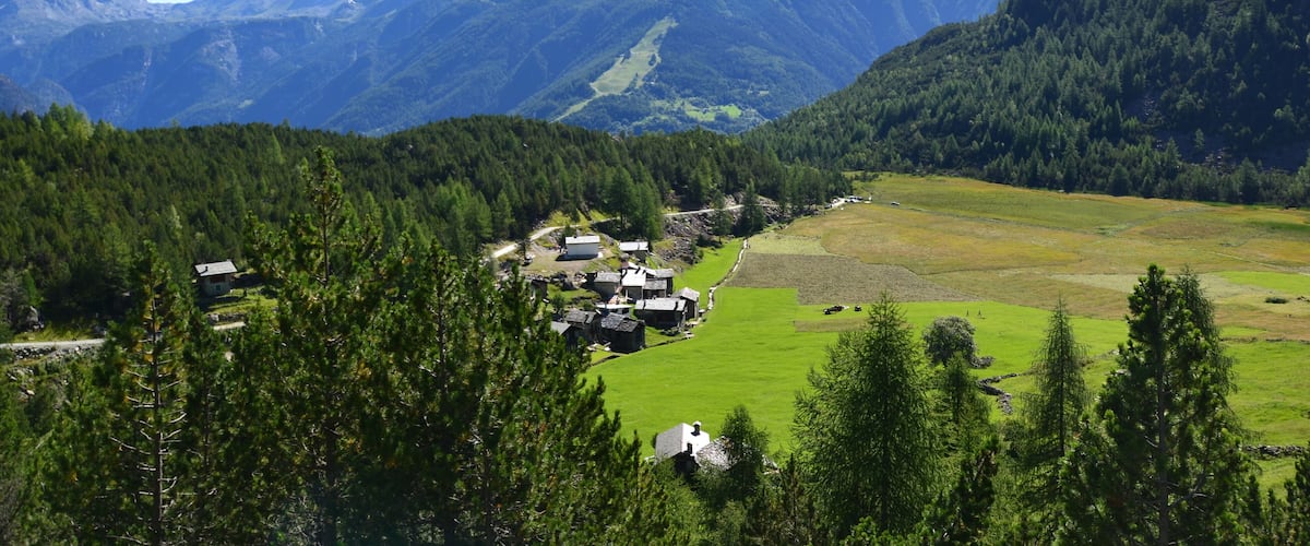 baite all'ALPE LAGO mt 1614 m s.l.m