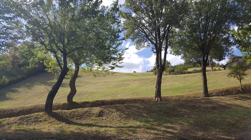 This is a photo of a monument which is part of cultural heritage of Italy. This monument participates in the contest Wiki Loves Monuments Italia 2017. See authorisations.