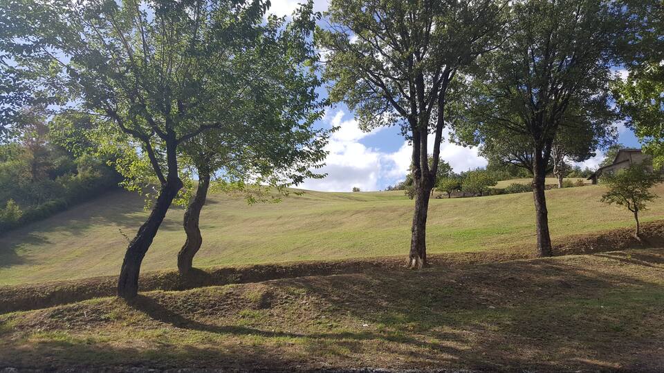 A grassy hill with trees and a stone building in the background.