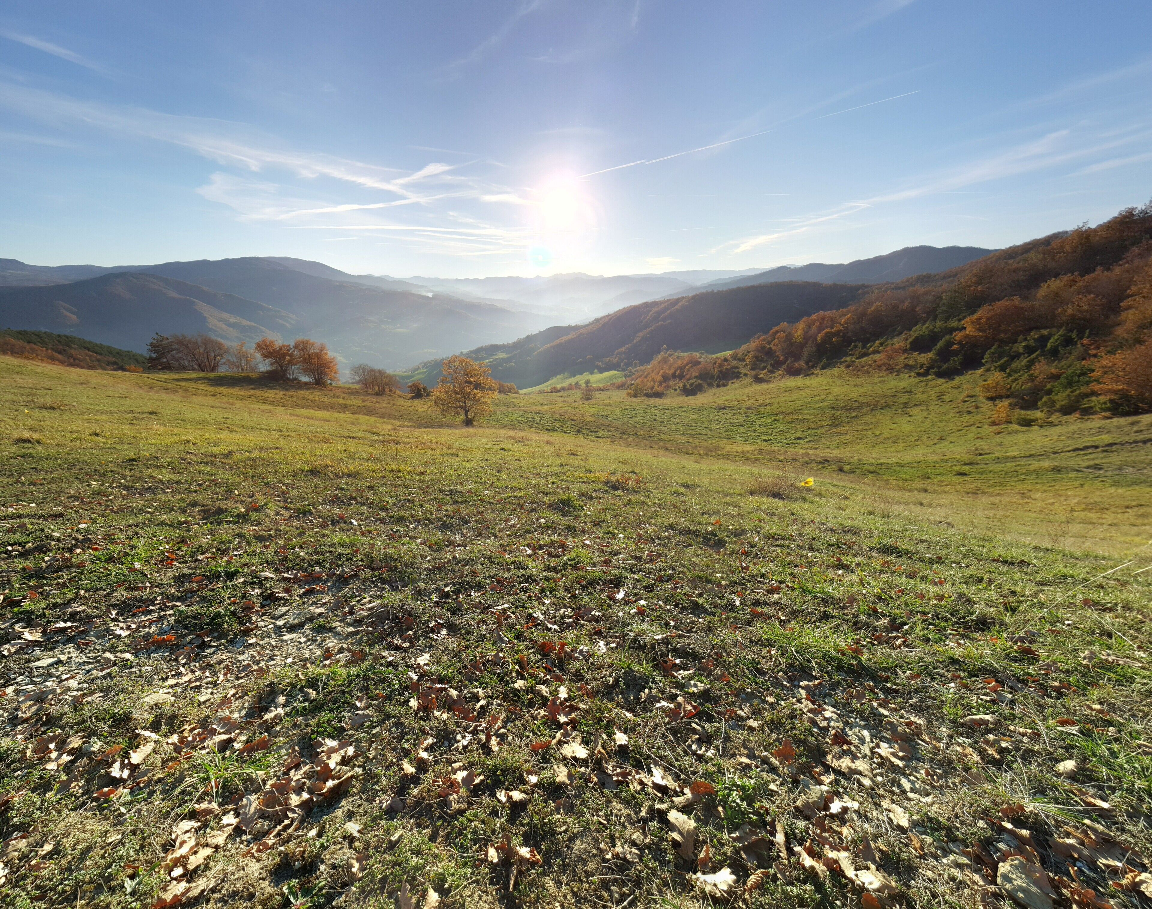 Sui monti sopra a Sarsina e Quarto - Valle del Savio