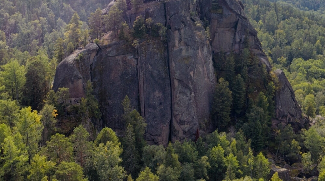 Stone towers from an ancient coral reef. These rocks had my adventure senses tingling. You are able to summit most without equipment... if you are extremely careful.
#russia #nature #travel