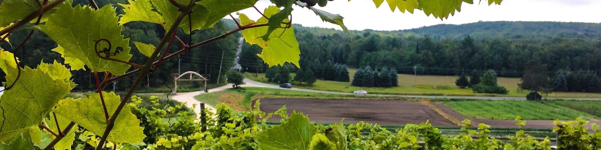 Make a stop here in the middle of your drive through the tunnel of trees for a glass of wine and throwing potatoes!! #lifeatexpedia #travel #Michigan
