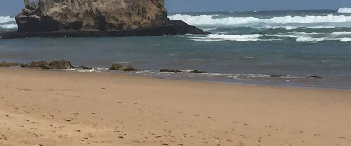 Great 9km beach walk to buffalo bay and back