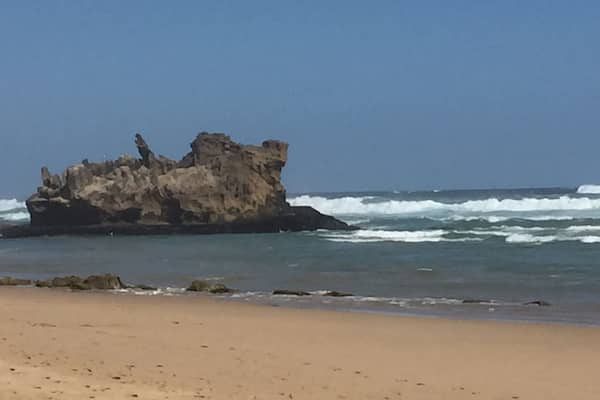Great 9km beach walk to buffalo bay and back